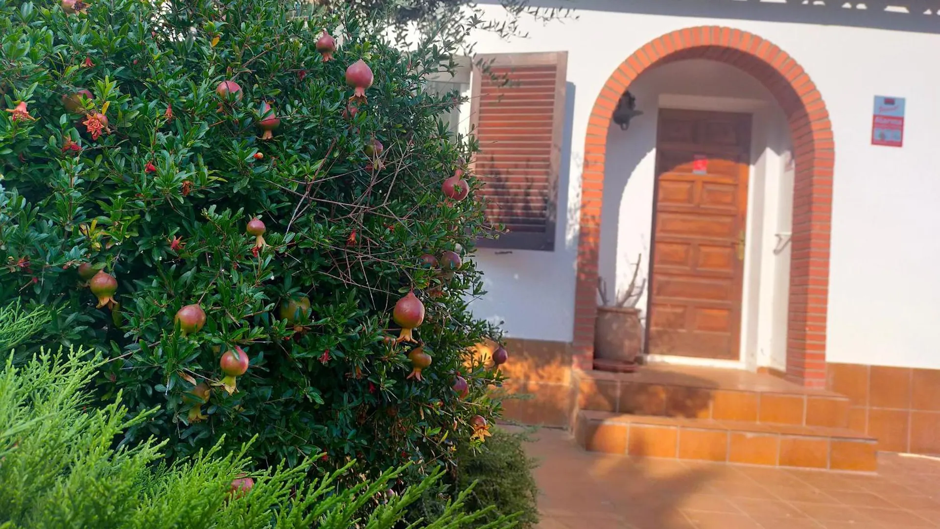 Casita Con Jardin, Parking, Bicis, Padel Surf Villa Ampurias Spain
